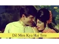 Lagu Dil Men Kya Hai Tere | Jigri Dost | Full Song | Jeetendra, Mumtaz