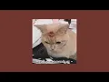 Download Lagu ♡Put your records on (sped up) Tiktok version♡