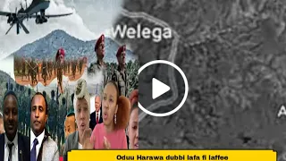 ODUU Harawaa Dubbi Lafa Fi Laffee Hanadhura Oromiyaa Finifinnee Maari Seena Jinjimo Fan Novembe 2021 