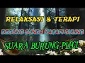 Download Lagu RELAKSASI DAN TERAPI DEGUNG SUNDA KACAPI SULING DAN SUARA BURUNG PLECI