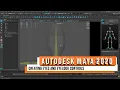 Autodesk Maya 2020 - Creating Eyes and Eye Look Controls