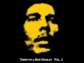 Gondwana - Could you be loved (AUDIO)