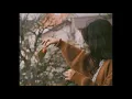 Download Lagu Xuân Hạ Thu Đông Rồi Lại Xuân  - Ái Phương (Lyrics)!
