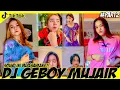 Tiktok Dj Geboy Mujair X Pargoy Yang Lagi Viral || Sound Produk Cikuya Lebak (Part 2)