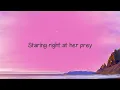 Hasta Los Dientes - Camila Cabello, Maria Becerra {Lyrics Video} 🪗