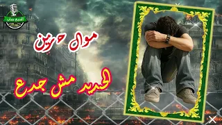 موال حزين الحديد مش جدع دندنها