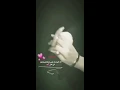 اسراء الاصيل وعلي بدر - قلبي الك