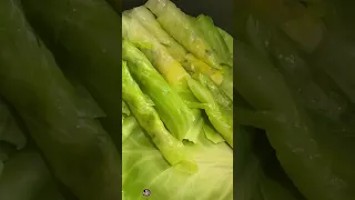 محشي الملفوف على الاصول سبسكرايب لكل جديد محشي كرنب ملفوف كرنب Cabbage Shorts 