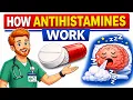 Why Some Antihistamines Make You Sleepy And Others Don t