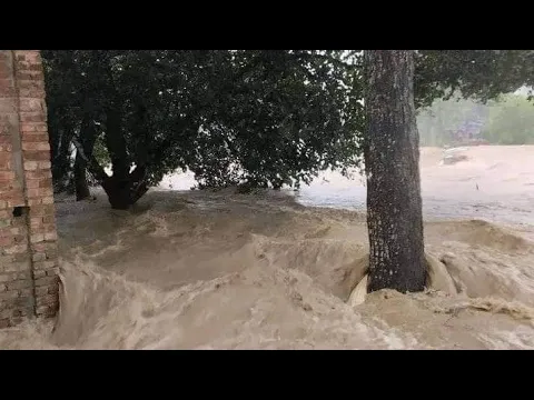 ৩৯বছরেও তারা এমন বন্যা দেখেনি। এই পর্যন্ত ১০জনের মৃত্যু হয়েছে।