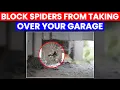 How to Block Spiders From Taking Over Your Garage Proven Tips and Effective Strategies
