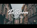 Download Lagu In Bloom (Acoustic) - Neck Deep // Lyrics Video