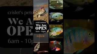 Https Www Facebook Com Share 1AQje3fC8v 