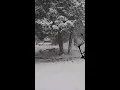Snow in Big Stone Gap Virginia