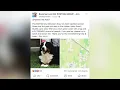 Search for missing dog in Bozeman takes social media by storm