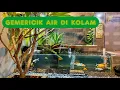 Download Lagu RELAKSASI Suara Air ‎| Kolam ikan koi malam hari  ‎| Stress relief  ‎| ‎ Kolam kaca minimalis