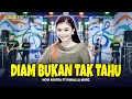 DIAM BUKAN TAK TAHU | Novi Novita | Pahalla Music Official