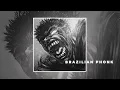 Download Lagu AGGRESSIVE BRAZILIAN PHONK AUDIOS. PT. 19 (AGGRESSIVE, GYM, FUNK PLAYLIST)