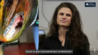 Grosbois Dr Farfan Kératome 4K
