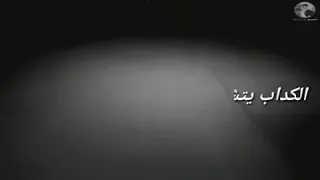 فى الزمان ده     الكدابين اتمكنوا وكتروا     حالة واتس دندنها