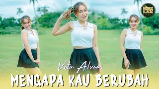 vita alvia mengapa kau berubah dj remix 