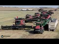 10x Case IH Mähdrescher \u0026 2x Case 600 Quadtrac  PART2- GIGA HARVEST  PROJECT in Kanada- RED ArmyXXL