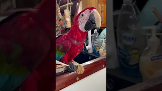 Our Electric Motor #shorts