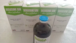 ديكسازون ساف دندنها