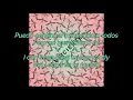 Babasónicos - Suficiente | Letra - Lyrics ENGLISH SUB