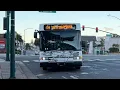 Forgotten Line AC Transit 2024 Gillig Low Floor 40 on Route 19