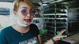 inday hamis first vlog 