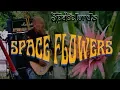 Download Lagu The Spacelords - Spaceflowers (Official Music Video)
