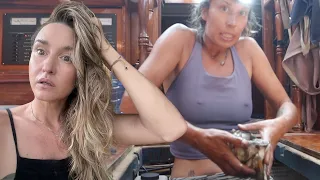 Found something disgusting under the floor. Sail Life