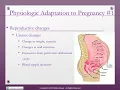 Maternal Adaptation to Pregnancy - Nursing Lecture