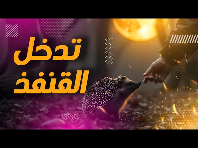 ⁣حدودك تحميك :درس من القنفذ عن عدم التدخل في شؤون الآخرين