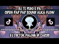 Lagu DJ TE PEGO E PA CIPEGI PAP PAP SOUND ALKHA FLOW | BY ANGGA RMX VIRAL DI TIKTOK 2024!!!🔥🤤