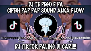 dj te pego e pa cipegi pap pap sound alkha flow by angga rmx viral di tiktok 2024 
