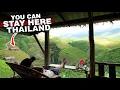 Download Lagu Dit moet je in Thailand bezoeken | De meest vredige plek die je nog nooit hebt gezien | NAN #live...