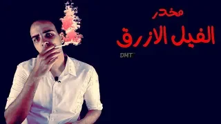 فارماستان   مخدر الفيل الأزرق     دندنها