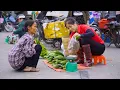 Download Lagu Panen Pare, Jual di Pasar, Memasak \u0026 Kehidupan Sehari-hari | Panen Ánh Vy