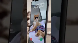 КРУТЫЕ РИНГТОНЫ Свои видосы на рингтон Быстро и легко с VIEWCALLZ скачивай в Google Play 