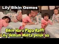 Download Lagu DETIK2 LILY BADAN DEMAM MINTA DI PELUK AA RAYYANZA BIKIN HARU PAPA RAFFI