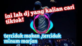 Download DJ INI LAH YNG KALIAN CRI TIKTOK !!  (TERCIDUK MAKAN ,TERCIDUK MINUM MARJAN) MP3