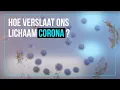 Lagu Hoe jouw afweersysteem corona gaat verslaan