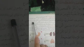 حل اسئلة الوحدة السابعة 7 علوم الصف الخامس الفصل الثاني أجهزة جسم الإنسان الجهاز الهضمي التنفسي 