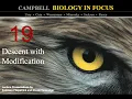 Biology in Focus Chapter 19 Descent with Modification