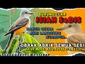 Download Lagu MASTERAN BURUNG FIGHTER || Burung Full Tembakan Rapat Untuk Masteran - OBRAK ABRIK SEMUA SESI