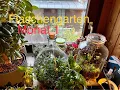 Download Lagu Flaschengarten Monat 1 nach pflanzen
