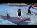 Tackle your bucket list at uShaka Marine World!