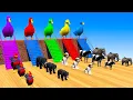 Download Lagu 5 Giant Duck Cartoon,Tiger,Cow,rabbit,Gorilla,Dog,Chicken,Cat Wild Animals Crossing Fountain 2023